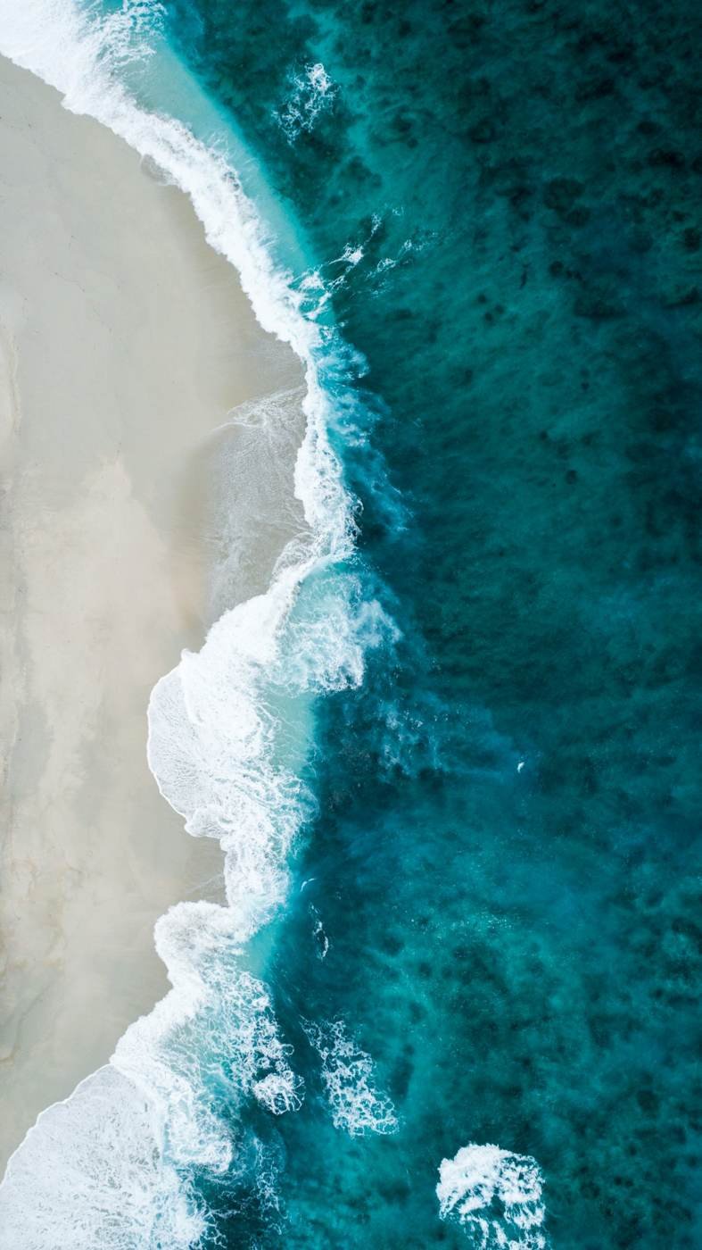 El litoral visto desde el aire: barra arenosa, ciénaga y mar abierto.